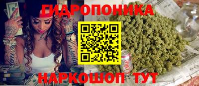 соль ск Будённовск