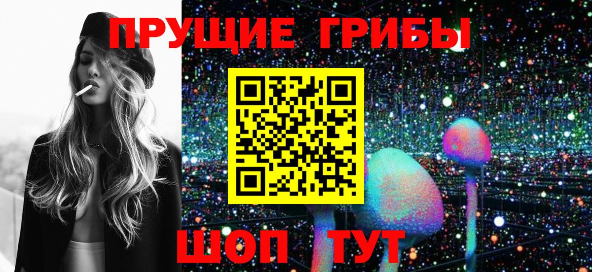 Отрадное  Псилоцибиновые грибы Magic Shrooms  Псилоцибиновые грибы GOLDEN TEACHER  Вход с VPN 
