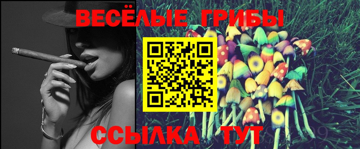 Псилоцибиновые грибы Cubensis Отрадное